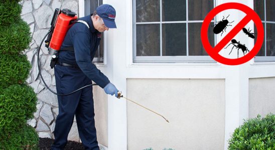 Buca Böcek İlaçlama böcek ilaçlama ve haşere kontrolü — ilaclama-tr.com
